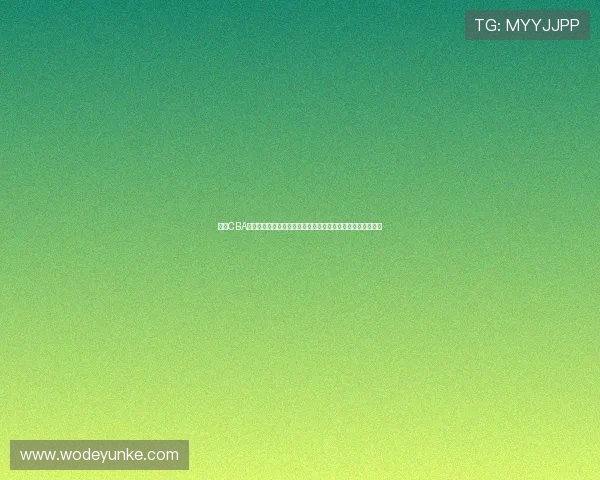 围绕CBA球赛规程解读联赛竞赛组织规则与执行要点分析实务实例指南